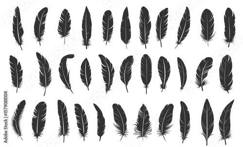 Bird feathers silhouettes set. Black icons quill from bird wings. Writing and literature symbols vector