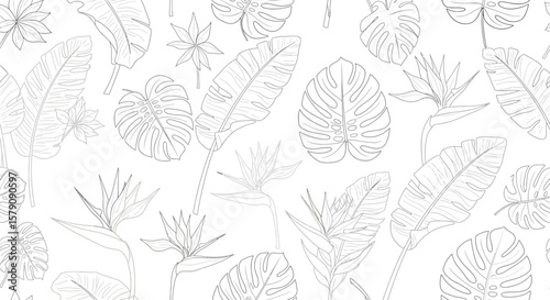 Tropical Foliage Pattern Monstera Banana Leaves and Bird of Paradise Outlines.