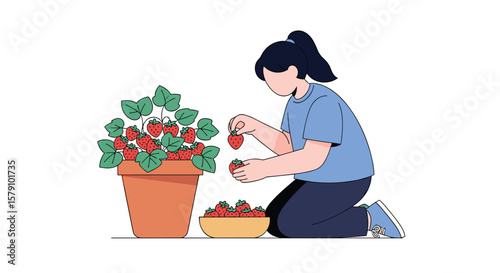 Young woman harvesting ripe strawberries from a large pot and filling a bowl with freshly picked fruit