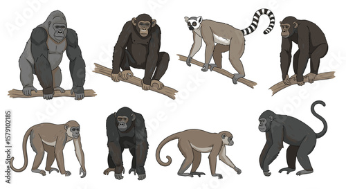 Collection of primate species illustrated in pixel art style realistic depictions