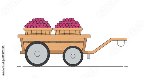 Wooden wagon laden with two baskets of fresh ripe grapes ready for harvest festival celebration