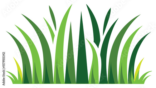 Green blades of grass on white background 