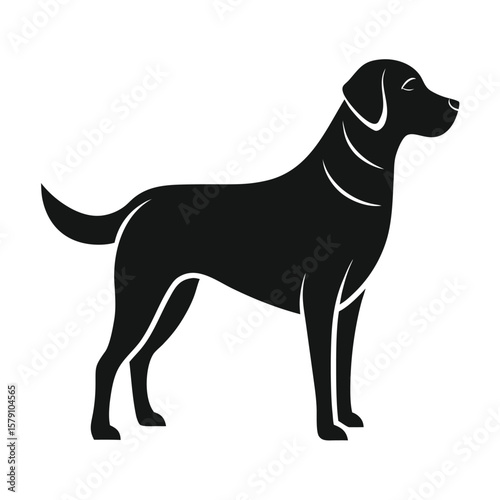 Clean vector silhouette of a black labrador retriever dog in a playful pose