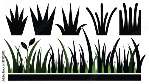 Silhouette Grass Collection on White Background 