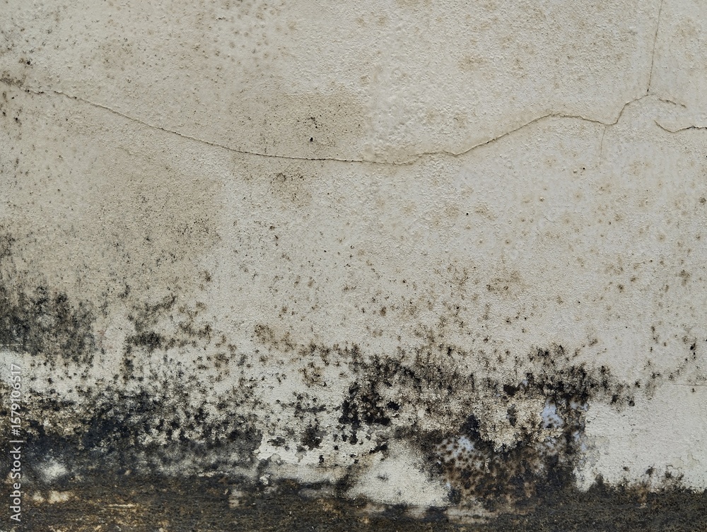 Obraz premium Abstrak grunge old wall weathered texture background