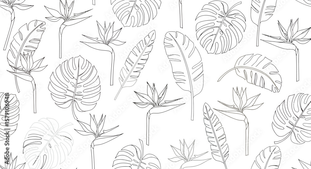 Line Art Tropical Pattern Bird of Paradise Flowers and Monstera Leaves. Line Art Tropical Pattern Bird of Paradise Flowers and Monstera Leaves.