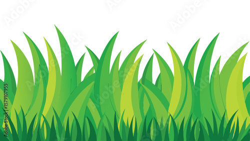 Lush Green Grass Blades A Close-Up View