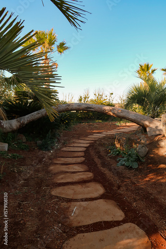 path in the park