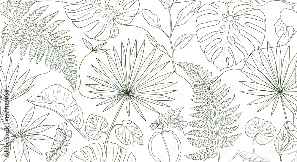Fototapeta premium Detailed botanical line art featuring ferns monstera and palm leaves.