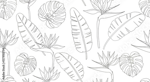 Tropical Outlines Bird of Paradise Flowers Banana Leaves and Monstera Pattern.