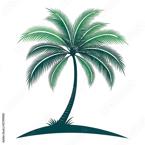 palm tree silhouette vector illustration