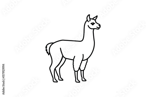 Elegant Llama Standing Tall A Simple Black and White Line Drawing Depicting a South American Camelid in a Striking Silhouette Style silhouette This simple