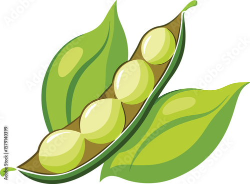 Japanese Sushi Roll Design Graphics Fresh Green Peas in a Pod with Lush Leaves, Healthy and Nutritious Vegetable Illustration