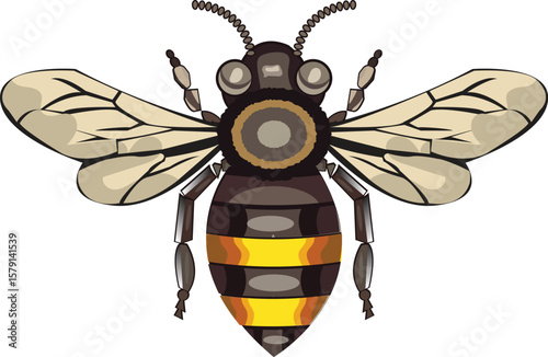 Realistic honey bee vector illustration