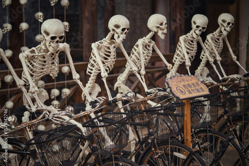 In a whimsical display, a row of skeletons is riding bicycles in a row