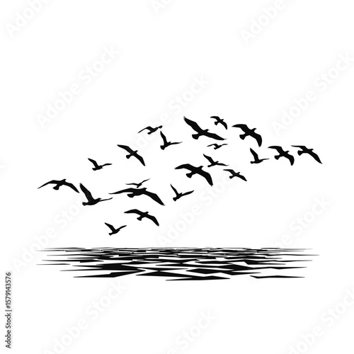 Soaring Silhouettes: A flock of seabirds soars gracefully against the backdrop of the boundless sea, their silhouettes creating a captivating dance.
