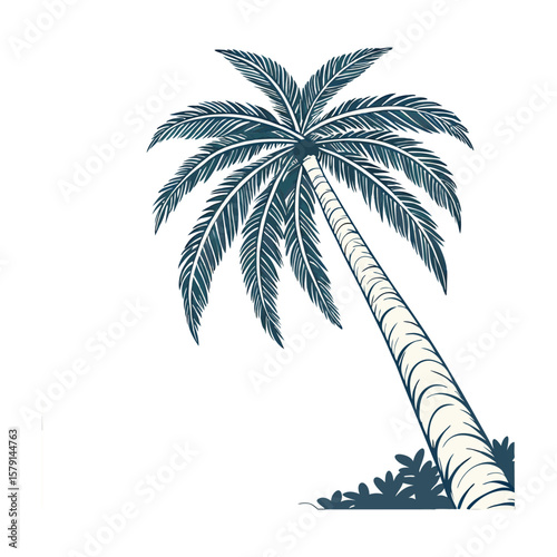 palm trees silhouette