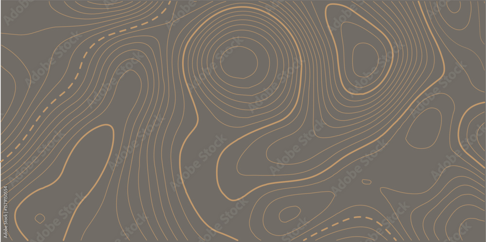 Φωτογραφία The stylized height of the topographic map contour in lines and contours