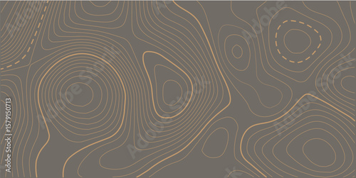 The stylized height of the topographic map contour in lines and contours. The concept of a conditional geography scheme and the terrain path. Orange on black. Vector illustration. Ultra wide size. 