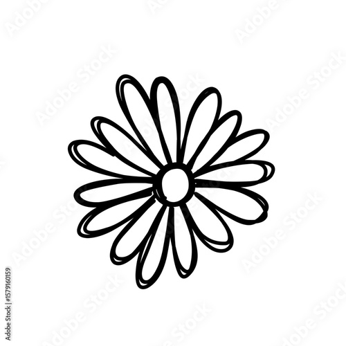 hand drawn doodle flowers