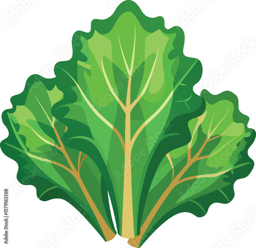 Gelato Swirl Design Presentations Fresh Organic Rhubarb Leaves, Healthy Food Illustration, Vector Graphic Design for Recipes and Menus