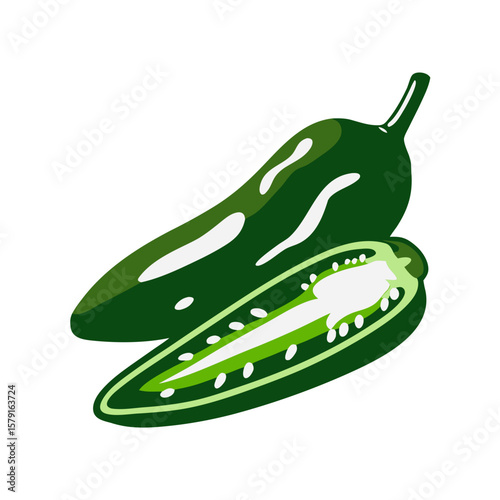 Green jalapeno vector illustration, spicy food ingredient and health support