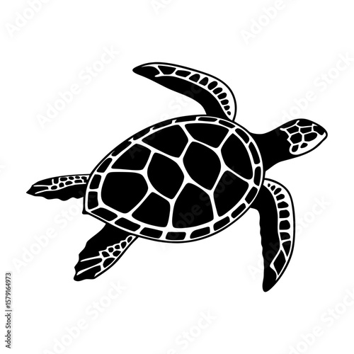 Black sea turtle silhouette with white pattern on transparent background animal wildlife