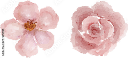 Wallpaper Mural Watercolor pink petal flower isolated  Torontodigital.ca