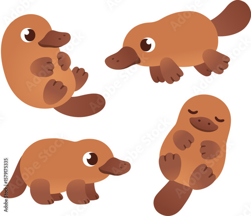 Cartoon platypus illustration set. Cute little platypus standing, swimming, sleeping. Isolated vector clipart.