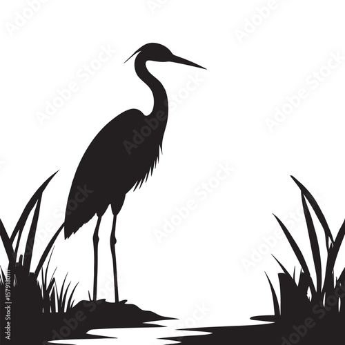 Heron Calmly Standing In Misty Morning Scene