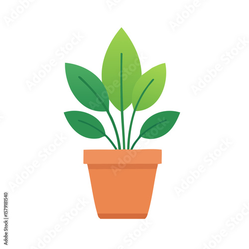 Indoor Potted House Plant Isolated on a Transparent Background