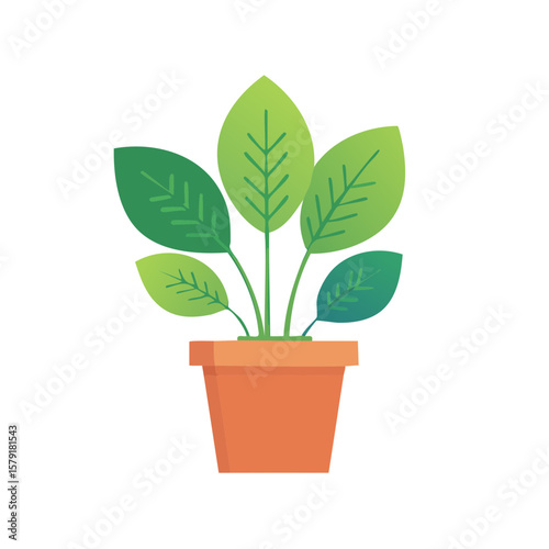 Indoor Potted House Plant Isolated on a Transparent Background