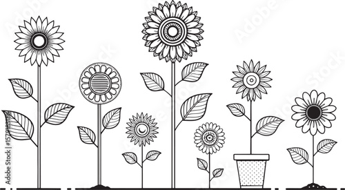 set off sunflower vector 