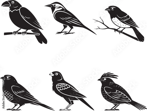 Wallpaper Mural set of birds Torontodigital.ca