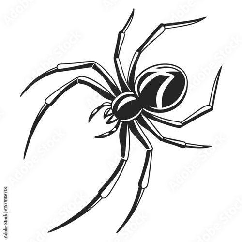 Black and White Vector Illustration of a Realistic Creepy Spider