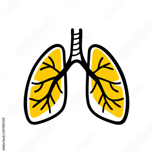 Human Lungs hand drawing icon for web and graphic design