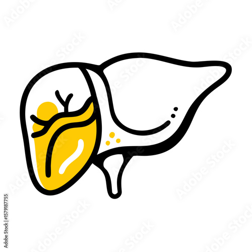 Liver and Gallbladder hand drawing icon for web and graphic design