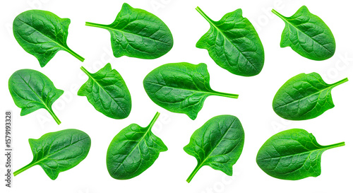 Fresh spinach leaves isolated, healthy eating concept, green vegetable, organic food, vegan diet, nutrition