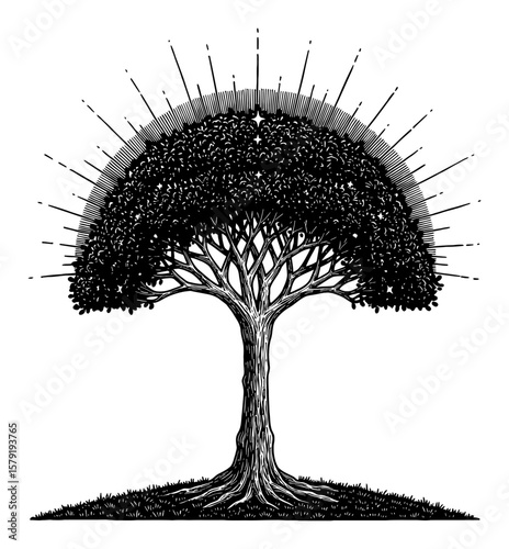 Gleaming Cosmic Glowing Tree Black and White Outline Line Art Drawing with Mystical Aura