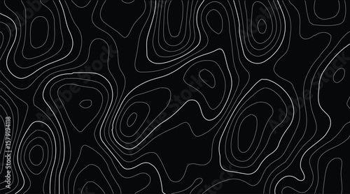Topography natural elevation drawing in detailed line art style, capturing geographic landforms with vintage accuracy for use in environmental branding, trail maps, and outdoor gear promotion.