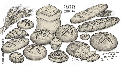 Delicious Bakery Collection Wheat Baguette Croissant Bread Rolls