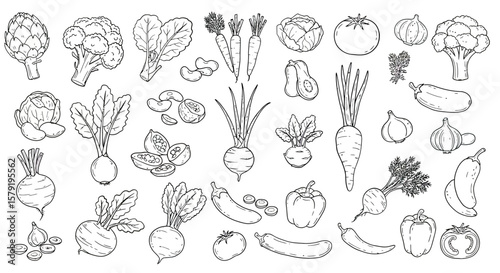Fresh Vegetables Line Art Drawing Broccoli Carrots Beets Garlic Artichokes Peppers