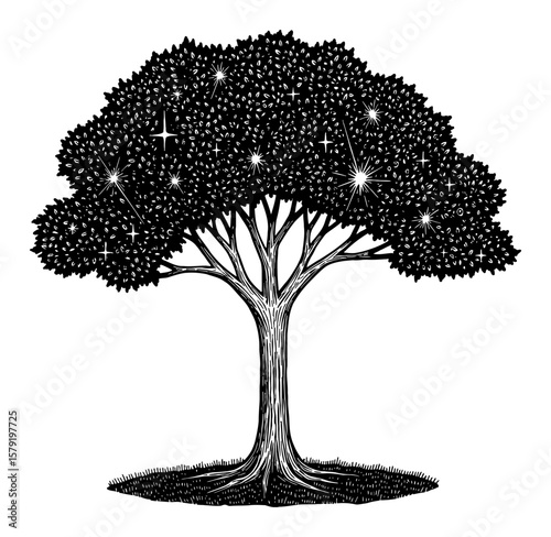 Gleaming Celestial Tree with Stars in Canopy Black and White Outline Line Art Drawing Outer Space