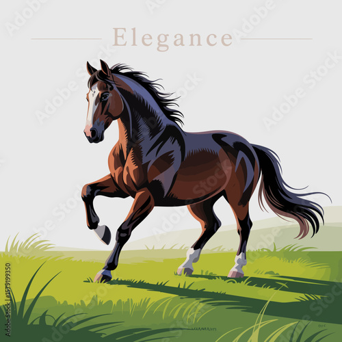 Elegant Horse Illustration