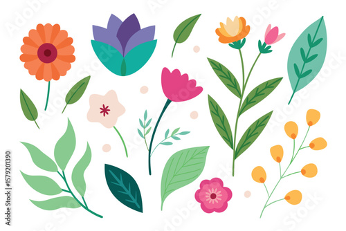  Botanic set of leaves and flower vector illustration.