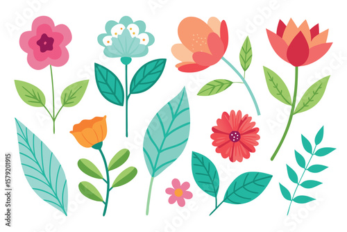  Botanic set of leaves and flower vector illustration.