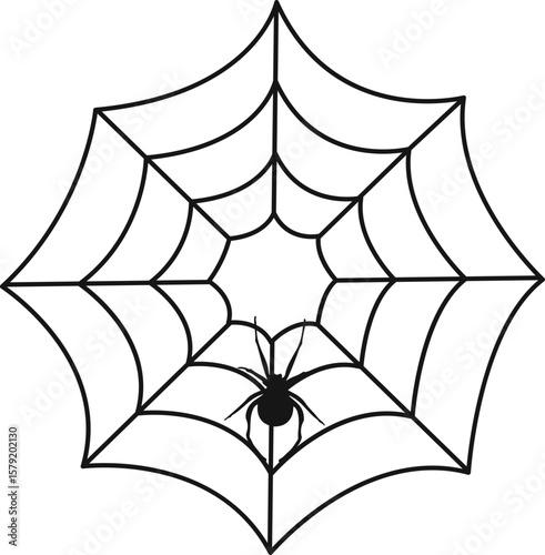 Halloween Spider Web Decoration