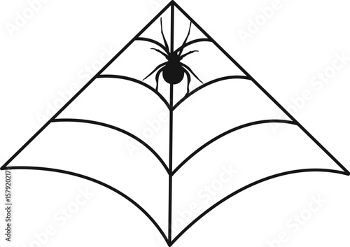 Halloween Spider Web Decoration