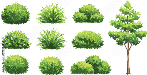 collection of trees