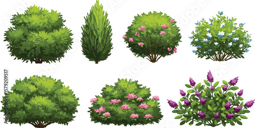 
Set of colorful garden bushes, flowering shrubs, green foliage plants, decorative landscape elements, nature illustration isolated on white background